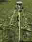 5119-10-fly Seco Heavy Duty Antenna Tripod