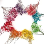100+PCS Mini Dried Babys Breath Flowers, 5600+ Multiple Colors. Fixed Price $17.98.