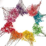 100+PCS Mini Dried Babys Breath Flowers, 5600+ Multiple Colors. Fixed Price $22.43.