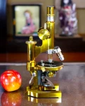Antique Ernst Leitz Stand Ia Microscope 1894 Complete Set Walnut Case Rare. Fixed Price $3450.00.
